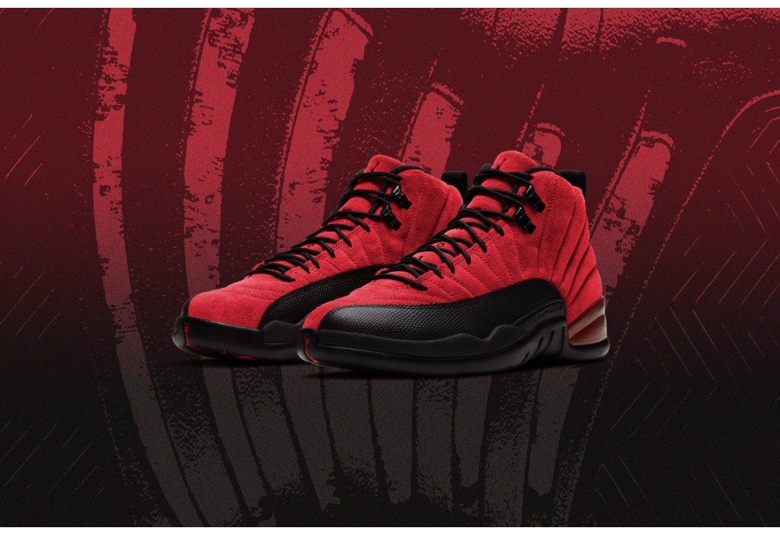 Air jordan best sale 12 flu games